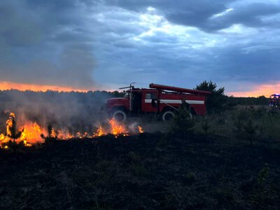  На Ніжинщині протягом дня ліквідували дві пожежі на відкритих територіях 