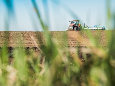 Аграрії Полтавщини засіяли поля розміром із Чорногорію
