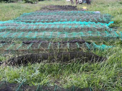 На Золотоніщині екоінспектори врятували від браконьєрів понад 800 раків
