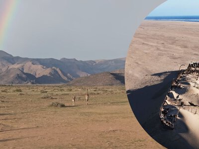 Яка пустеля є найстарішою у світі, і що там роблять кораблі-привиди