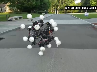 20 ніг і очі з усіх боків: вчені створили революційного робота, який може рухатися в будь-якому напрямку (ФОТО)