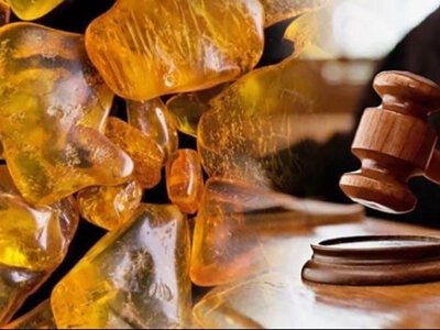 На Житомирщині судитимуть жителя Коростенського району за незаконне зберігання бурштину