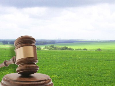 На Хмельниччині суд повернув у власність громади 50 га землі вартістю понад 1,9 млн гривень