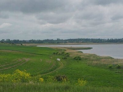 У селі на Волині невідомі розорали прибережну захисну смугу