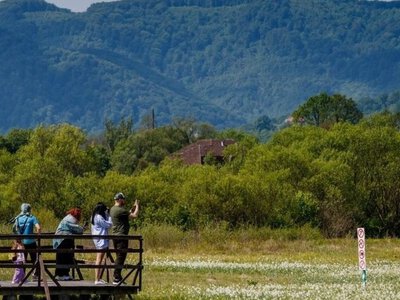 На Закарпатті туристичний збір зріс майже на 40% (ФОТО)