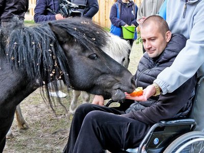 КиївЗоо розширює безбар’єрний простір: у зоопарку провели тренінги для роботи з ветеранами