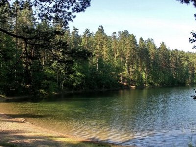 Загадка найглибших озер Дніпропетровщини: чому вода в них має аномальну температуру