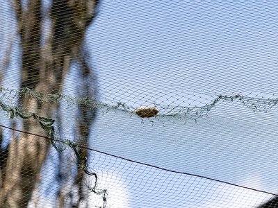  У Херсоні 4 червня виявили міни на одному з проспектів 