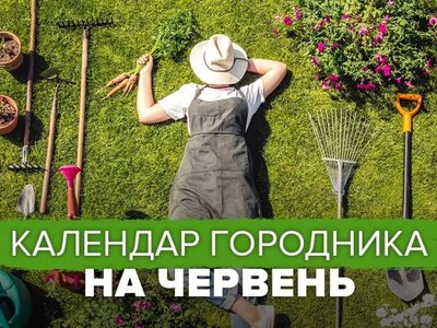 Місячний календар городника на червень 2025 року