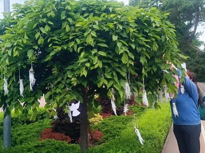Дзвін пам’яті: у Кременчуці вшанували дітей, чиї життя забрала війна