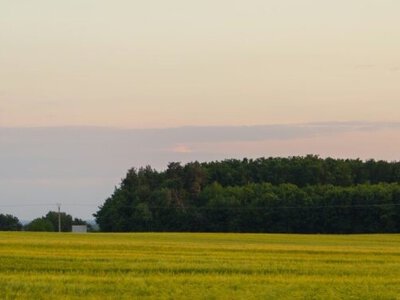 У Кам’янському підприємство через суд зобов’язали сплатити 7,7 млн грн за землю