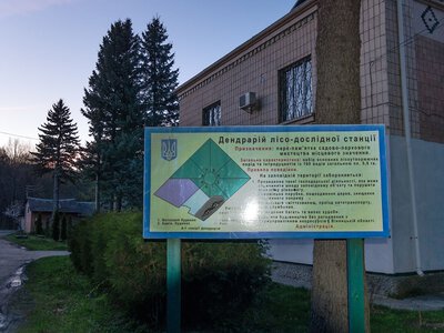 У Вінниці хочуть надати нового імпульсу місцевому дендрарію