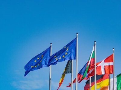 У ЄС численні уряди підтримують обмеження статусу захисту для українських чоловіків, Австрія хоче діяти швидко - ЗМІ