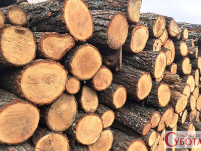 Чотирьох громадян ошукав через інтернет: на Коростенщині до суду скерували справу ув’язненого
