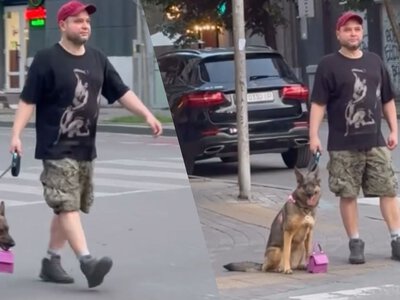 З гламурною сумочкою в зубах: на Золотих Воротах у Києві прогулюється мила собачка