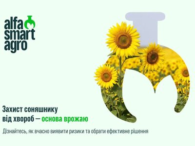 Здоровий соняшник: захист від хвороб
