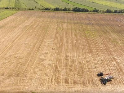 Земельні паї на окупованих територіях: ризики