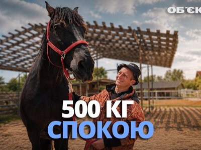 Живі сканери емоцій: як «500 кг спокою» лікують душі під Харковом (відео)