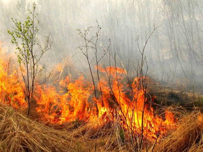 Стовпчики термометрів піднімуться до +27°: на вихідних на Сумщині прогнозують пожежну небезпеку