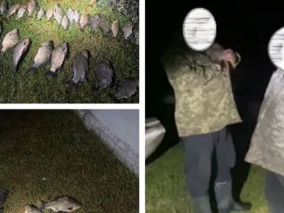 Незаконний вилов на Хрінницькому водосховищі: збитки перевищили 80 тисяч гривень