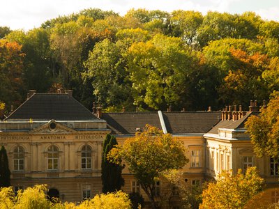 У Львові планують оновити назву аеропорту та медичного університету
