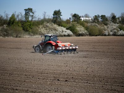 Росія проводить найгіршу посівну пшениці за останні 8 років: погода зриває строки