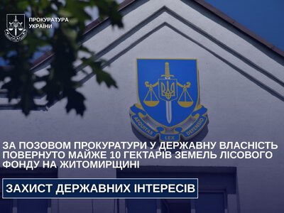 Судовий прецедент на Житомирщині: у приватного бізнесу та селищної ради відібрали 10 гектарів незаконно оформленого лісу