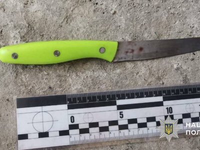 На Тячівщині пенсіонера засудили до 7 років за замах на вбивство односельця (ФОТО)