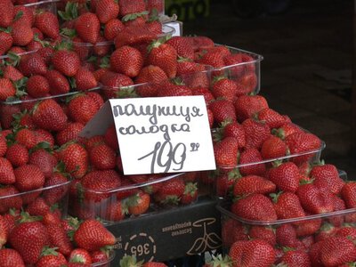 Чому знаменита полуниця з Житомирщини зникає з прилавків