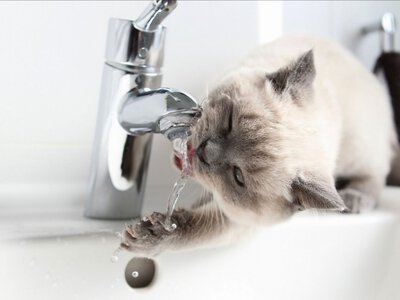 Кому з одеситів по дорозі додому доцільно прикупити води?