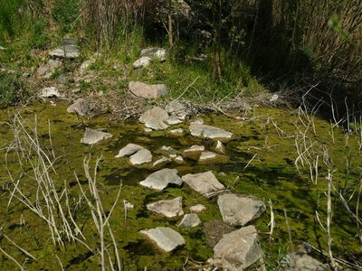 Нагнітання чи реальна загроза: чи може ворог використовувати осушене дно Каховського водосховища