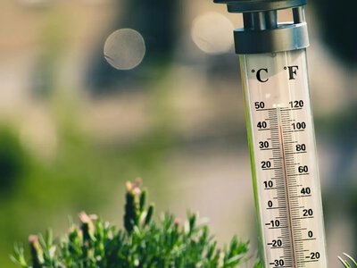 Якою буде погода літом в Україні: синоптик розвінчав міфи про спеку +50 °C та аномальну посуху
