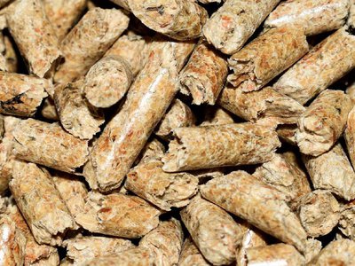 Український шрот: виклики на польському ринку