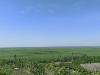  Великий Луг втрачений назавжди, натомість виникає нова екосистема - еколог 