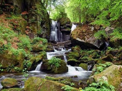 Прихована перлина Карпат: чому варто відвідати містичний водоспад Воєводин на Закарпатті
