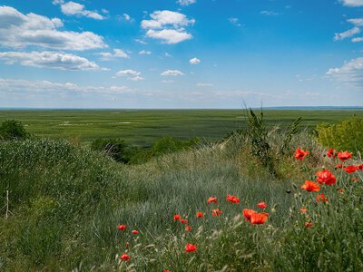 Великий Луг відроджується? Які наслідки має підрив Каховської ГЕС через три роки