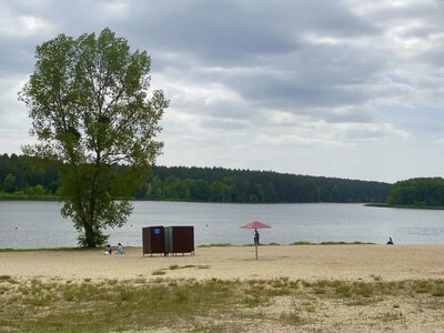 На Житомирщині перевірили якість води на пляжах: де купатися небезпечно
