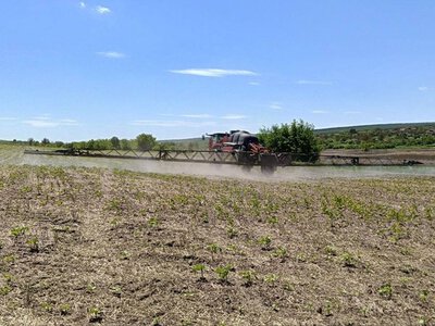 Захист соняшнику: успішне завершення в Tekom Agro