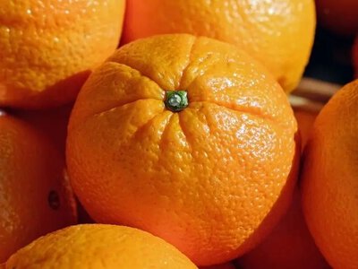 Як шкірка апельсина врятує ваш врожай від шкідників і не лише - На пенсії