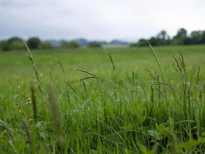 На Рівненщині завтра прогнозують короткочасний дощ та до 23 градусів тепла