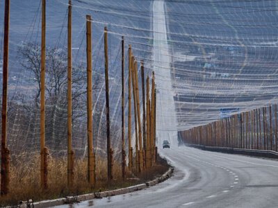 Стало відомо, скільки прифронтових доріг облаштували антидроновим захистом з початку року