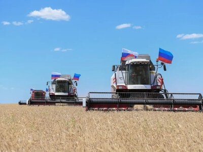 Швеція арештувала судно через крадіжку українського зерна