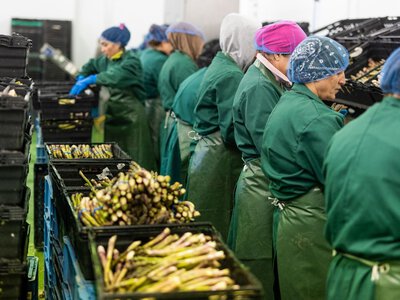 Все більше українців у Польщі повертаються додому або їдуть далі за кордоном