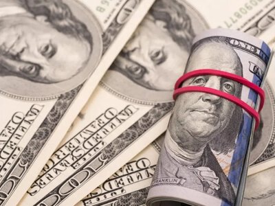 Курс долара та євро на другий тиждень літа: банкір дав прогноз і попередив про важливий нюанс 