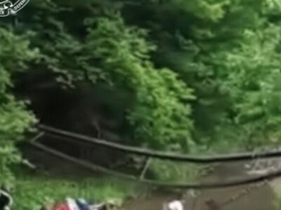На Буковині під час фотографування дітей обвалився дерев’яний міст: є постраждалі