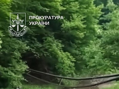 Позували для фото: на Буковині обрушився міст із дітьми, є постраждалі (відео)