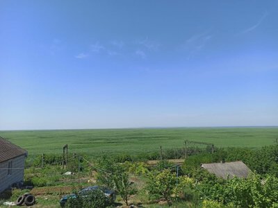 Річниця катастрофи на Каховській ГЕС: на місці утворюється унікальна екосистема