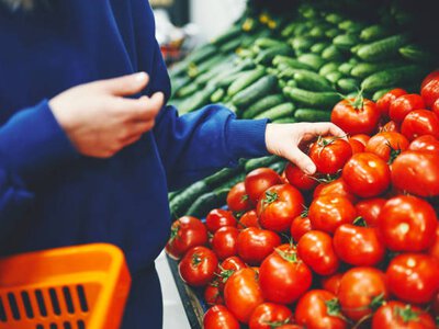 Тепличні помідори в Україні подешевшали на 15% через зростання пропозиції