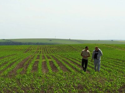 Продаж землі: права орендаря та відповідальність власника