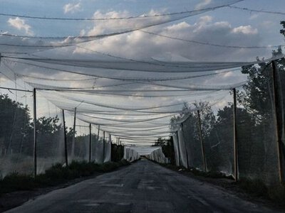 Міноборони: у прифронтових громадах облаштували понад 211 км антидронового захисту доріг